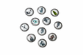 Lot de 10 fèves SPÉCIAL INF'FAUNE