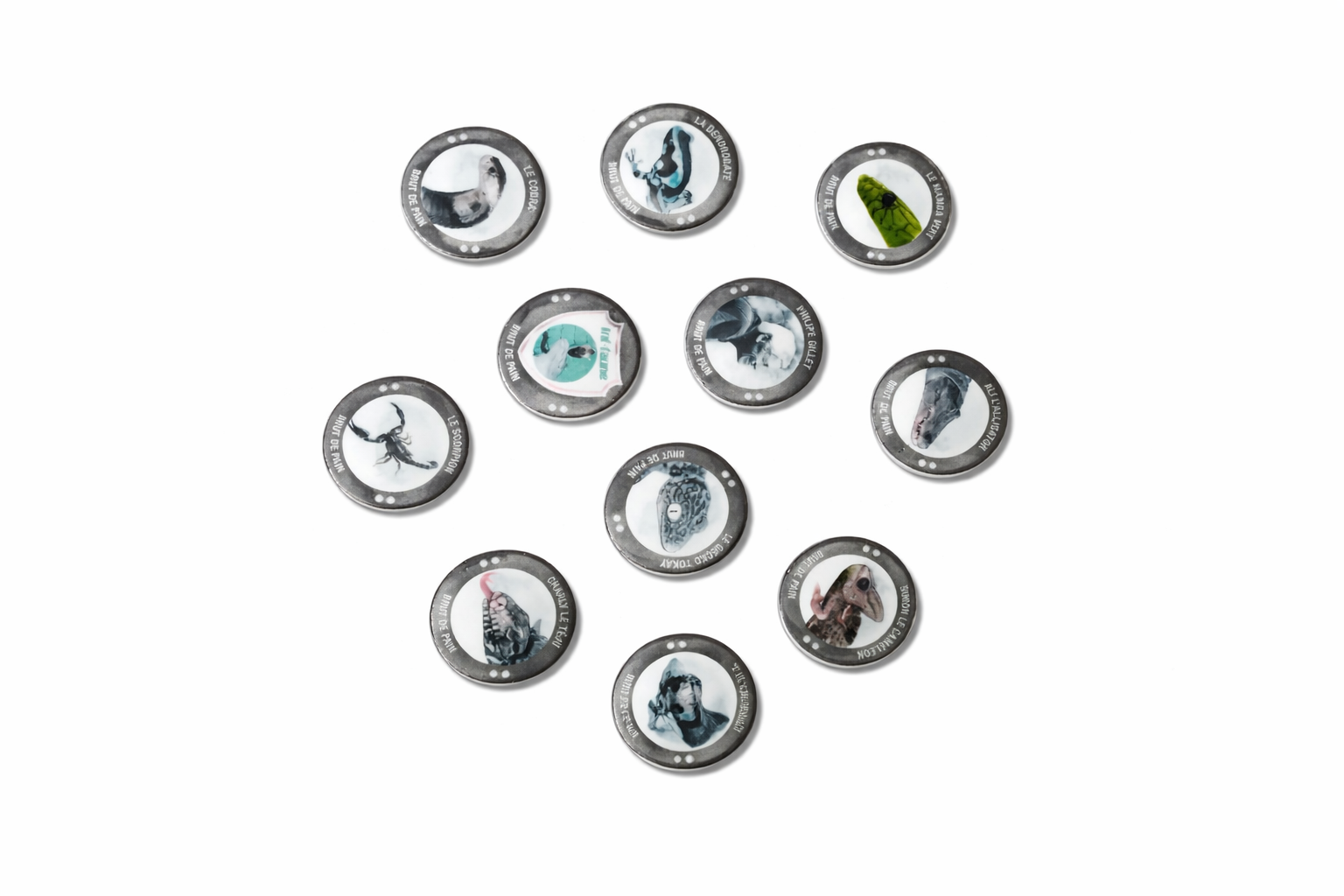 Lot de 10 fèves SPÉCIAL INF'FAUNE
