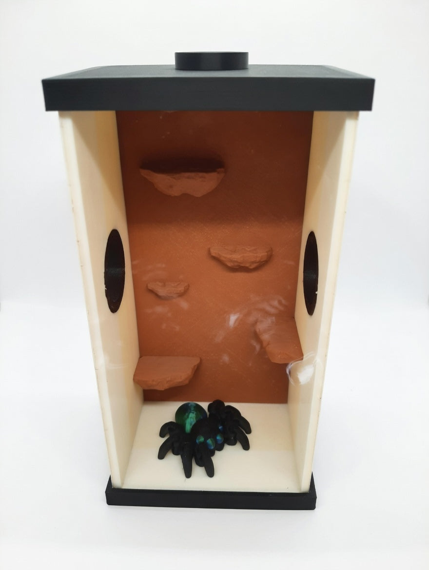 Terrarium pour Phidippus en 3D